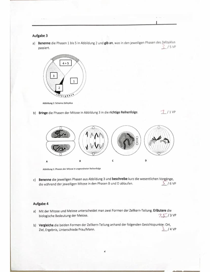 Name.
VP:
10
30 134
NP:
Biologiearbeit Nr. 1
Abb. 1: Schematische Darstellung
einer Zelle.
MX4-2
Aktuell mdl.:
a) Benenne die markierten Zel
