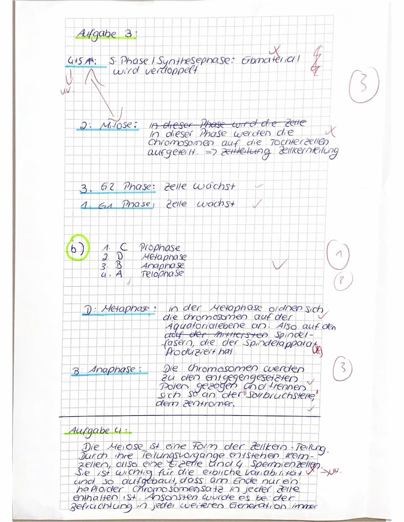 Name.
VP:
10
30 134
NP:
Biologiearbeit Nr. 1
Abb. 1: Schematische Darstellung
einer Zelle.
MX4-2
Aktuell mdl.:
a) Benenne die markierten Zel