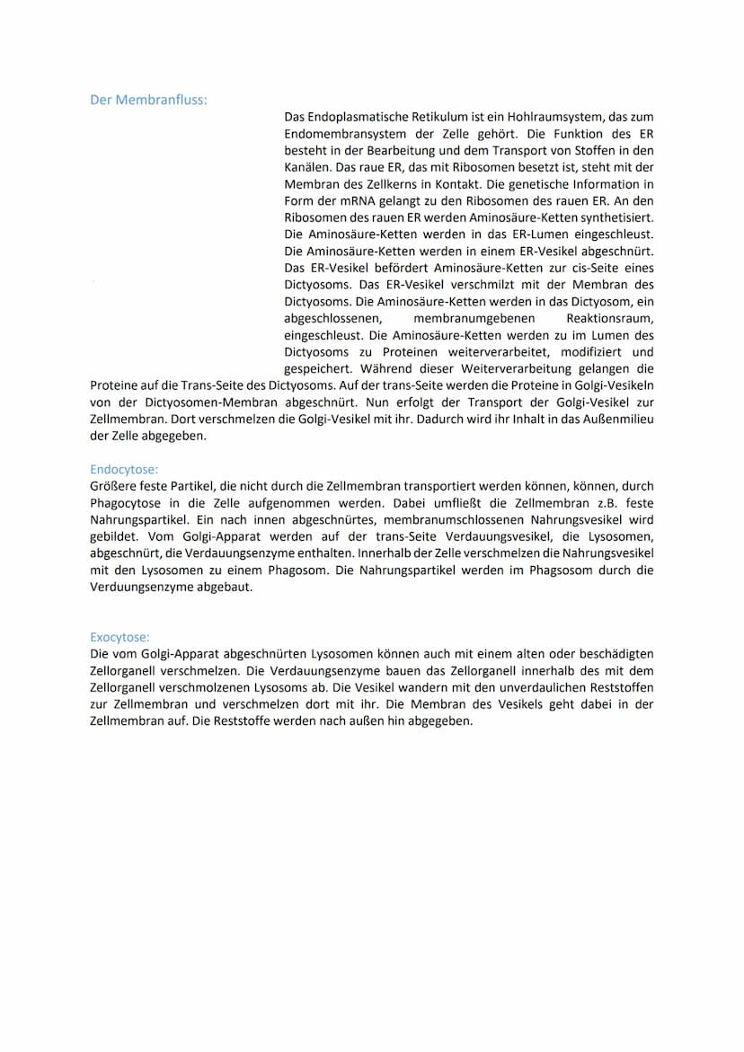 Prokaryoten
Eukaryoten
Themen:
Die Kennzeichen des Lebendigen
Die Reiche der Lebewesen
Naturwissenschaftliche Arbeitsweisen kennen und auf E