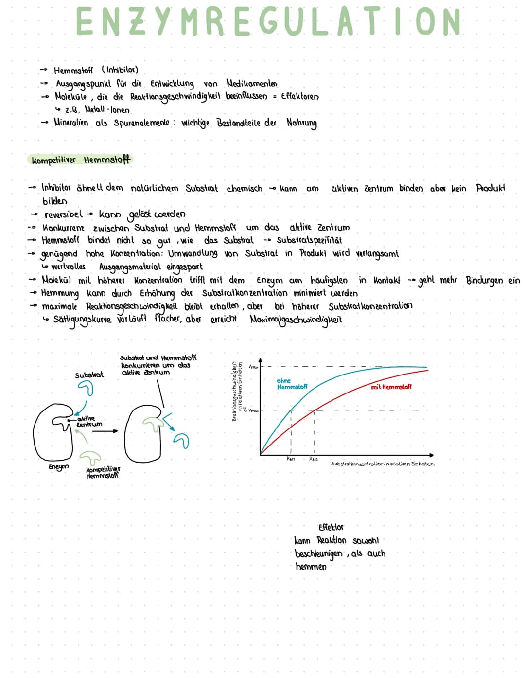 1
Hemmstoff (Inhibitor)
Ausgangspunkt für die Entwicklung von Medikamenten
Moleküle, die die Reaktionsgeschwindigkeit beeinflussen = Effekto