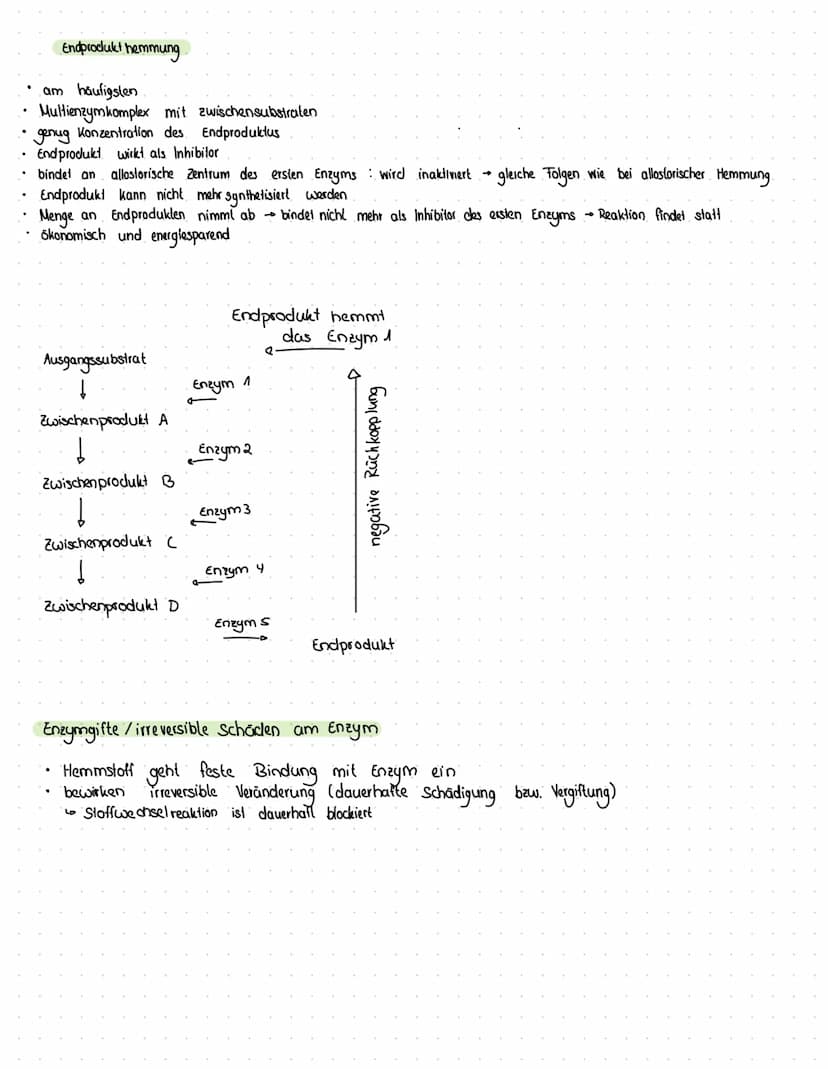 1
Hemmstoff (Inhibitor)
Ausgangspunkt für die Entwicklung von Medikamenten
Moleküle, die die Reaktionsgeschwindigkeit beeinflussen = Effekto