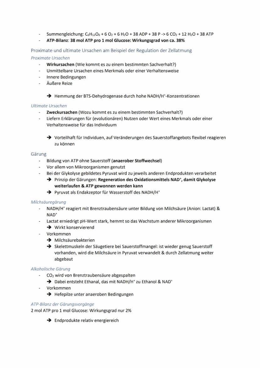 Dissimilationsprozesse
Aufbau eines Mitochondriums
AVURD
mtDNA
äußere Membran
Intermembranraum
innere Membran
Glykolyse
Matrix
Ribosomen
Abi