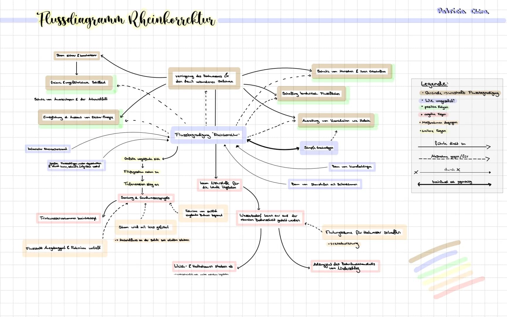 Flussdiagramm Rheinkorrektur
Strem schwer & berechenbarer
freiere ungefährlichere Schiffahrt
Schutz von Awenbiotopen & der Artenvielfalt
Erm