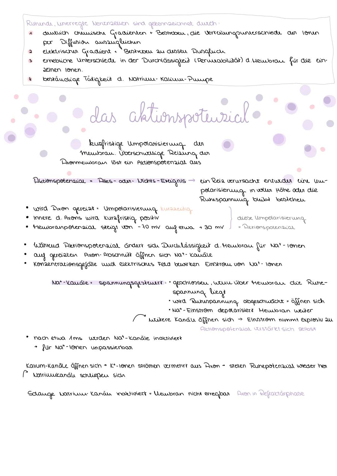 neuron & nerv
Skizze einer nervenzelle
Zellkern
-Deudriten
Axon
Ахопыйдел
●
Endknöpfchen
Schwannsche Zelle
baw. Ranvierscher Schnür-
ring
RI