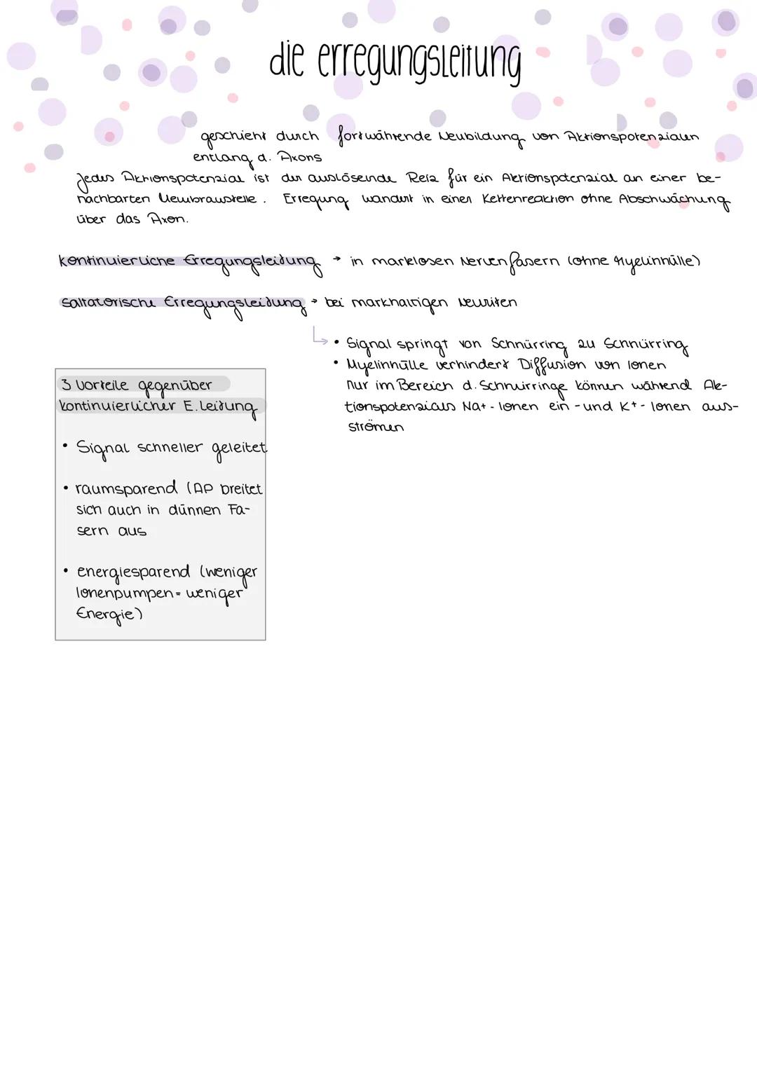 neuron & nerv
Skizze einer nervenzelle
Zellkern
-Deudriten
Axon
Ахопыйдел
●
Endknöpfchen
Schwannsche Zelle
baw. Ranvierscher Schnür-
ring
RI