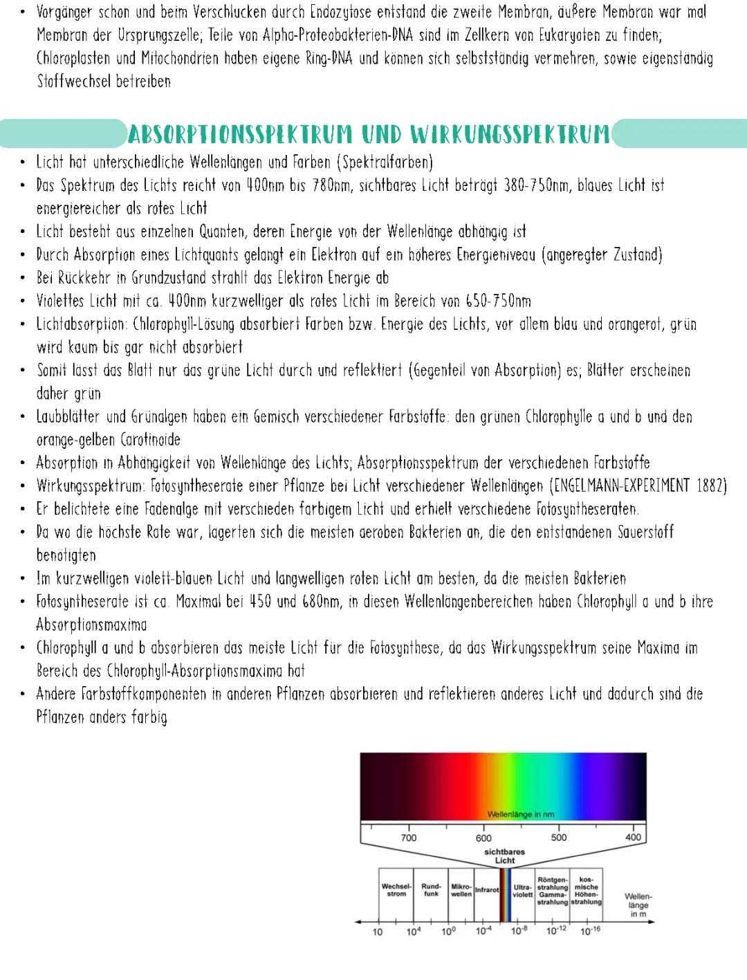 Abhängigkeit der Fotosynthese von Licht und anderen Faktoren