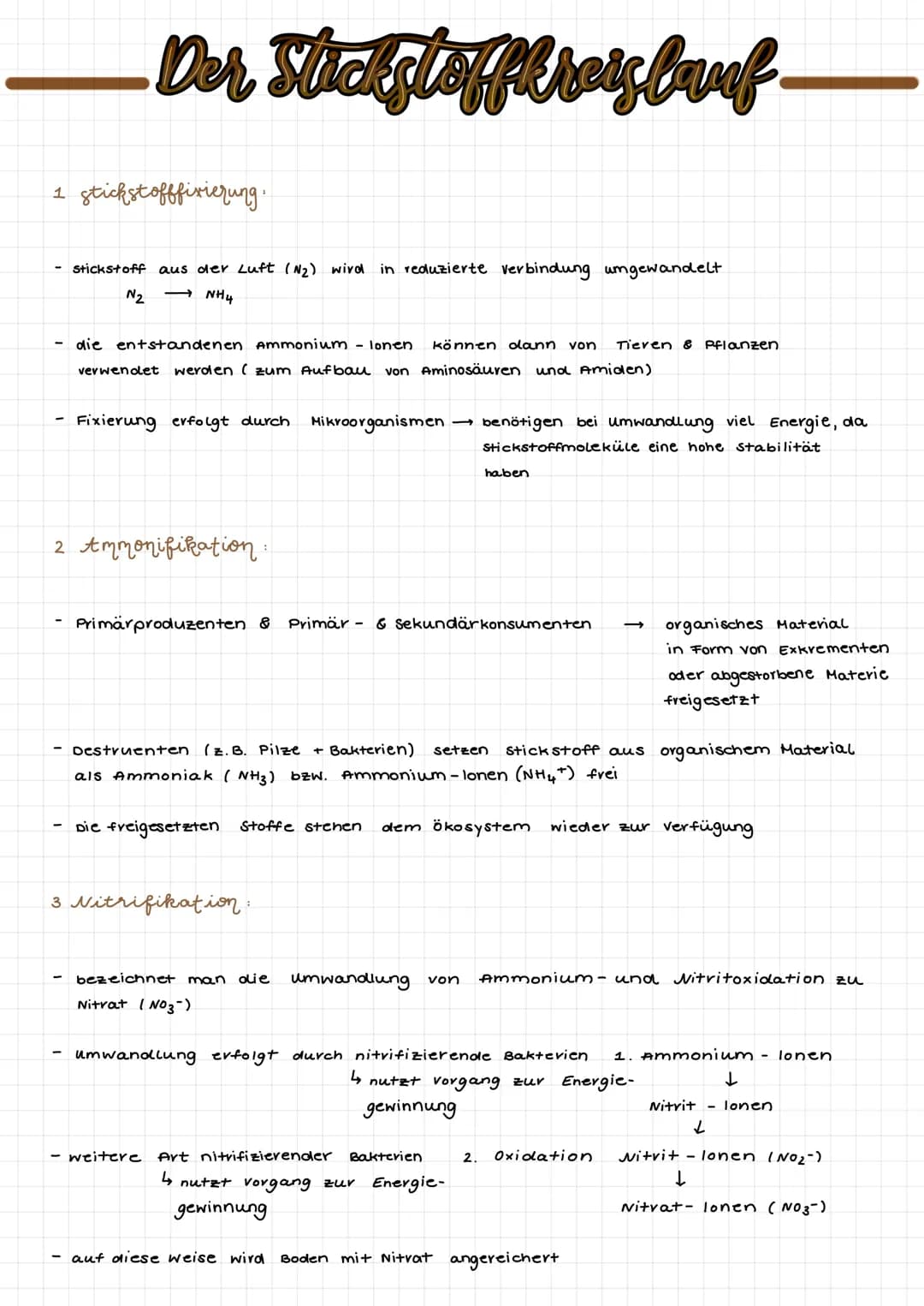 Der Stickstoffkreislauf-
1 stickstofffixierung.
stickstoff aus der Luft (N₂) wird in reduzierte verbindung umgewandelt.
→NH4
N₂
- die entsta