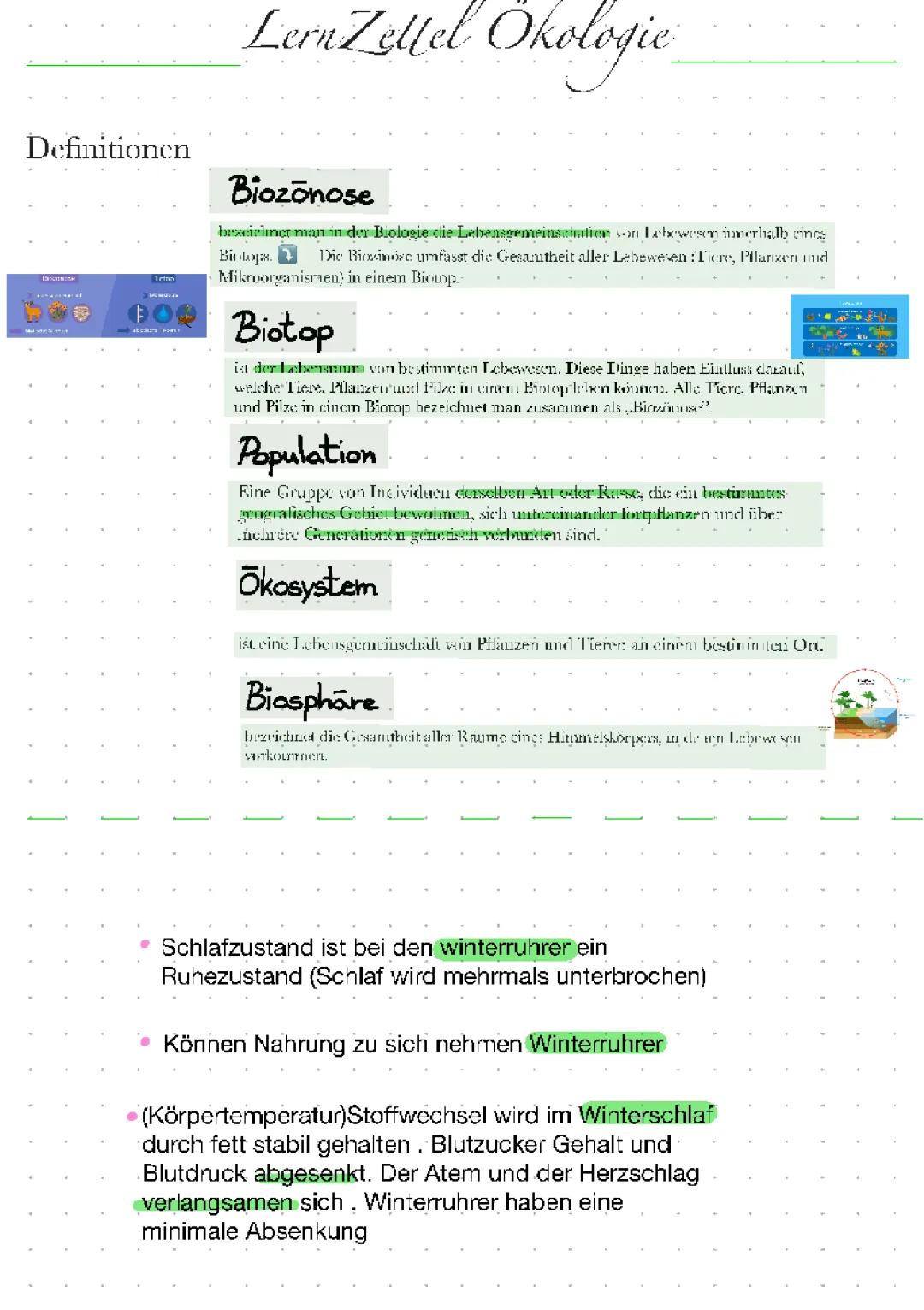 Ökologie Lernzettel: Biotische und Abiotische Faktoren verstehen
