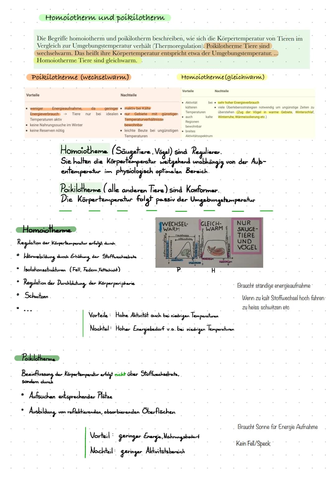 Definitionen
Biazonose
biotiche Faktoren
Biotop
Lebensraum
000
absche Faktoren
Lern Zettel Okologie
Biozonose
bezeichnet man in der Biologie