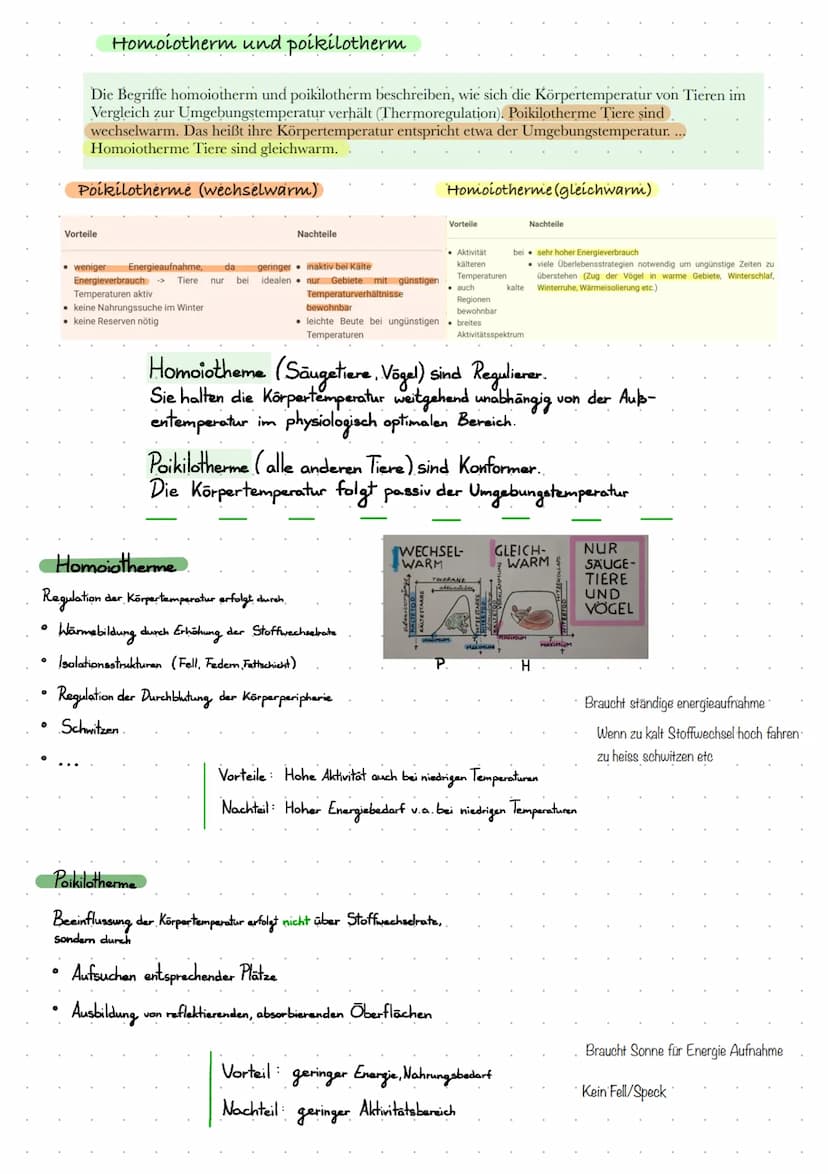Definitionen
Biazonose
biotiche Faktoren
Biotop
Lebensraum
000
absche Faktoren
Lern Zettel Okologie
Biozonose
bezeichnet man in der Biologie