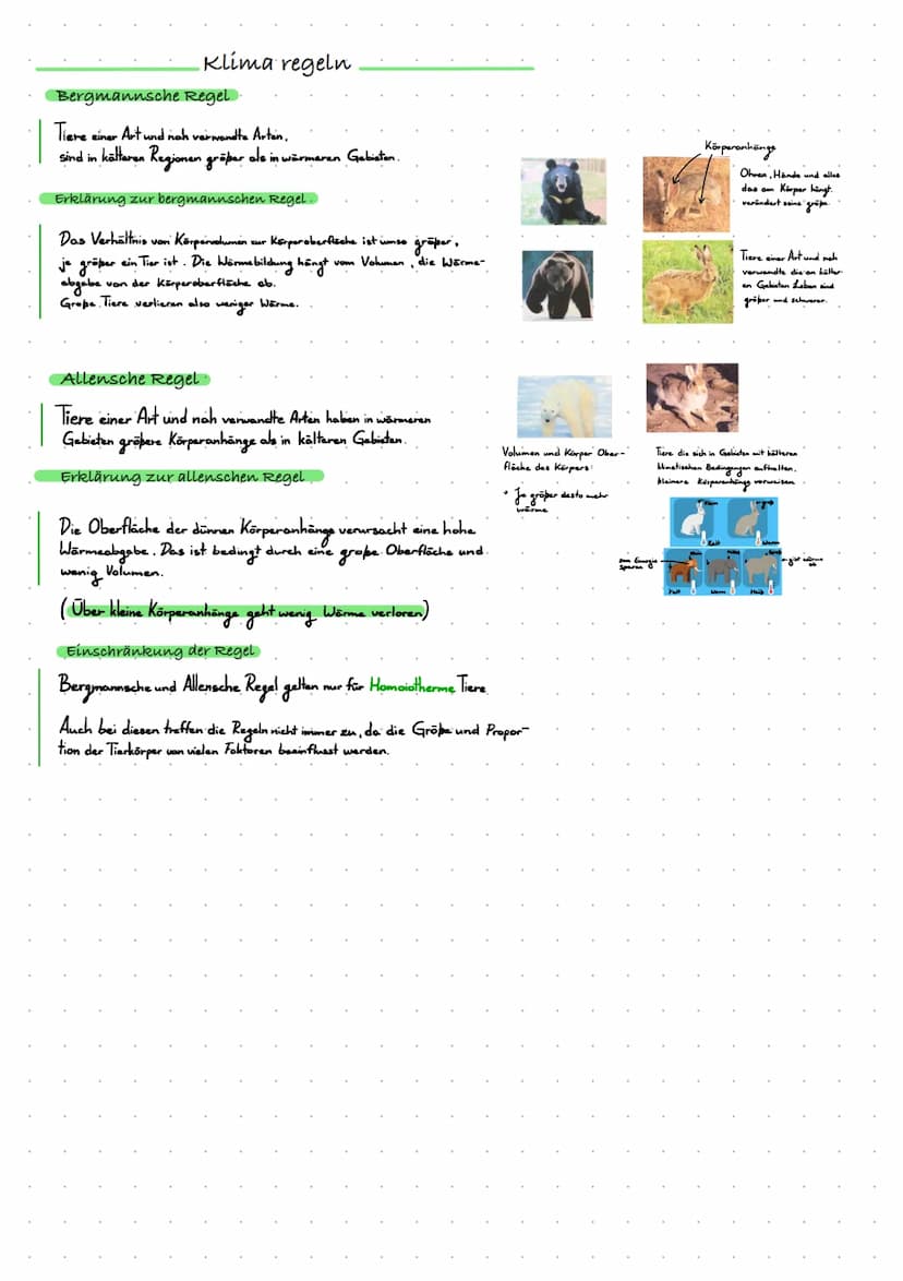 Definitionen
Biazonose
biotiche Faktoren
Biotop
Lebensraum
000
absche Faktoren
Lern Zettel Okologie
Biozonose
bezeichnet man in der Biologie