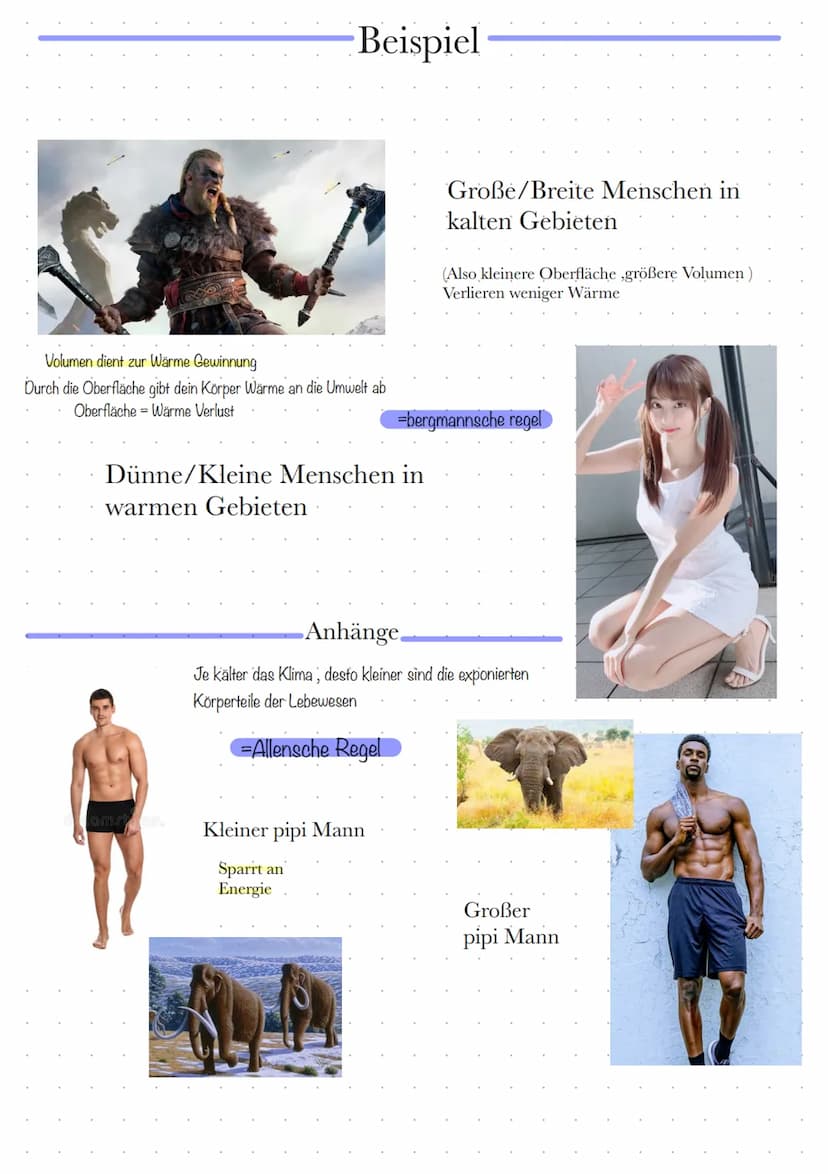 Definitionen
Biazonose
biotiche Faktoren
Biotop
Lebensraum
000
absche Faktoren
Lern Zettel Okologie
Biozonose
bezeichnet man in der Biologie