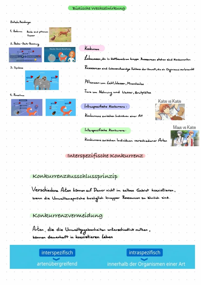Definitionen
Biazonose
biotiche Faktoren
Biotop
Lebensraum
000
absche Faktoren
Lern Zettel Okologie
Biozonose
bezeichnet man in der Biologie