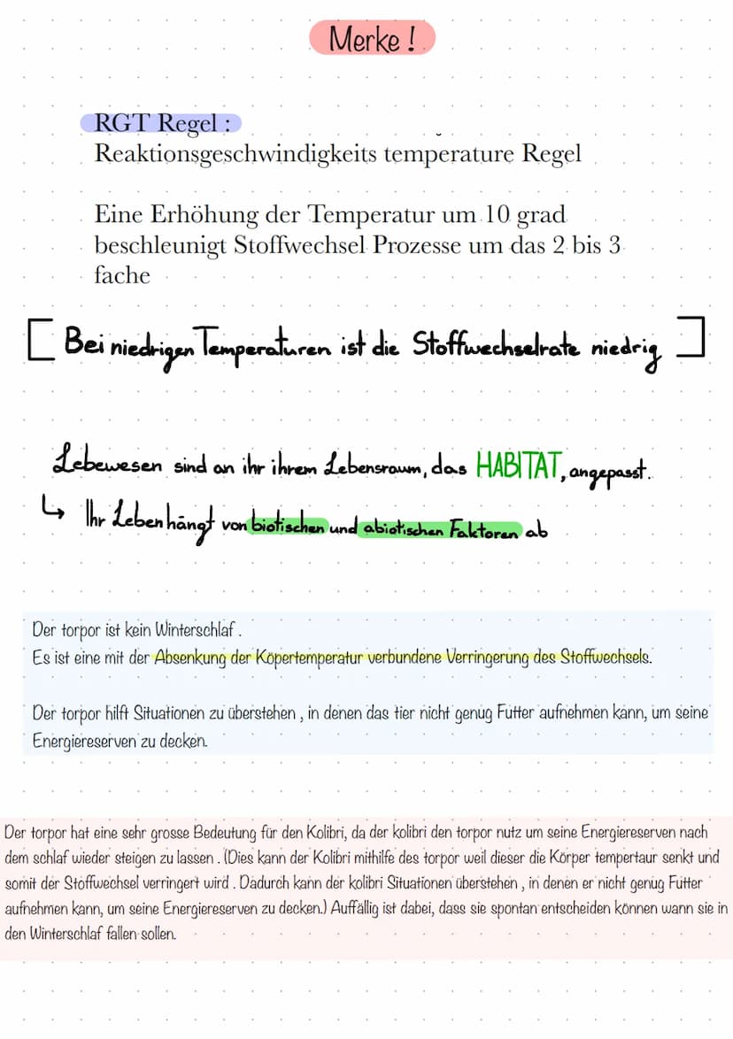 Definitionen
Biazonose
biotiche Faktoren
Biotop
Lebensraum
000
absche Faktoren
Lern Zettel Okologie
Biozonose
bezeichnet man in der Biologie