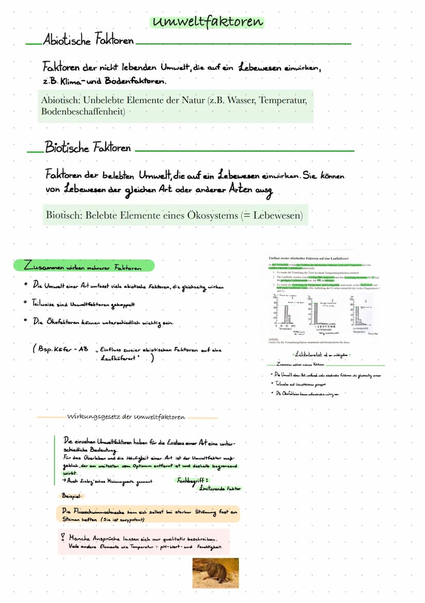 Definitionen
Biazonose
biotiche Faktoren
Biotop
Lebensraum
000
absche Faktoren
Lern Zettel Okologie
Biozonose
bezeichnet man in der Biologie