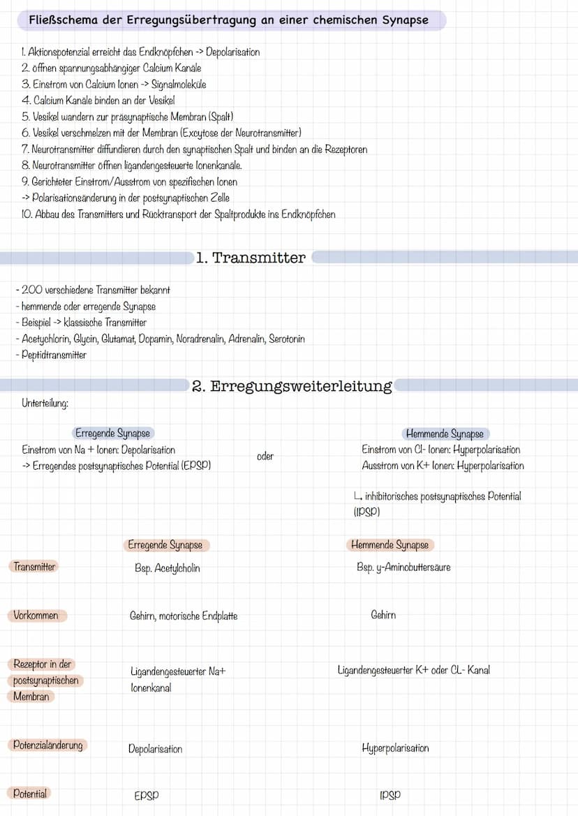 Zellkörper mit
organellen
Aufbau und Funktion der Nervenzelle
AUFBAU
Dendriten
Zellkern
Soma
Axonnigel
Ranvier-Schnurringe
Schwannsche Zelle