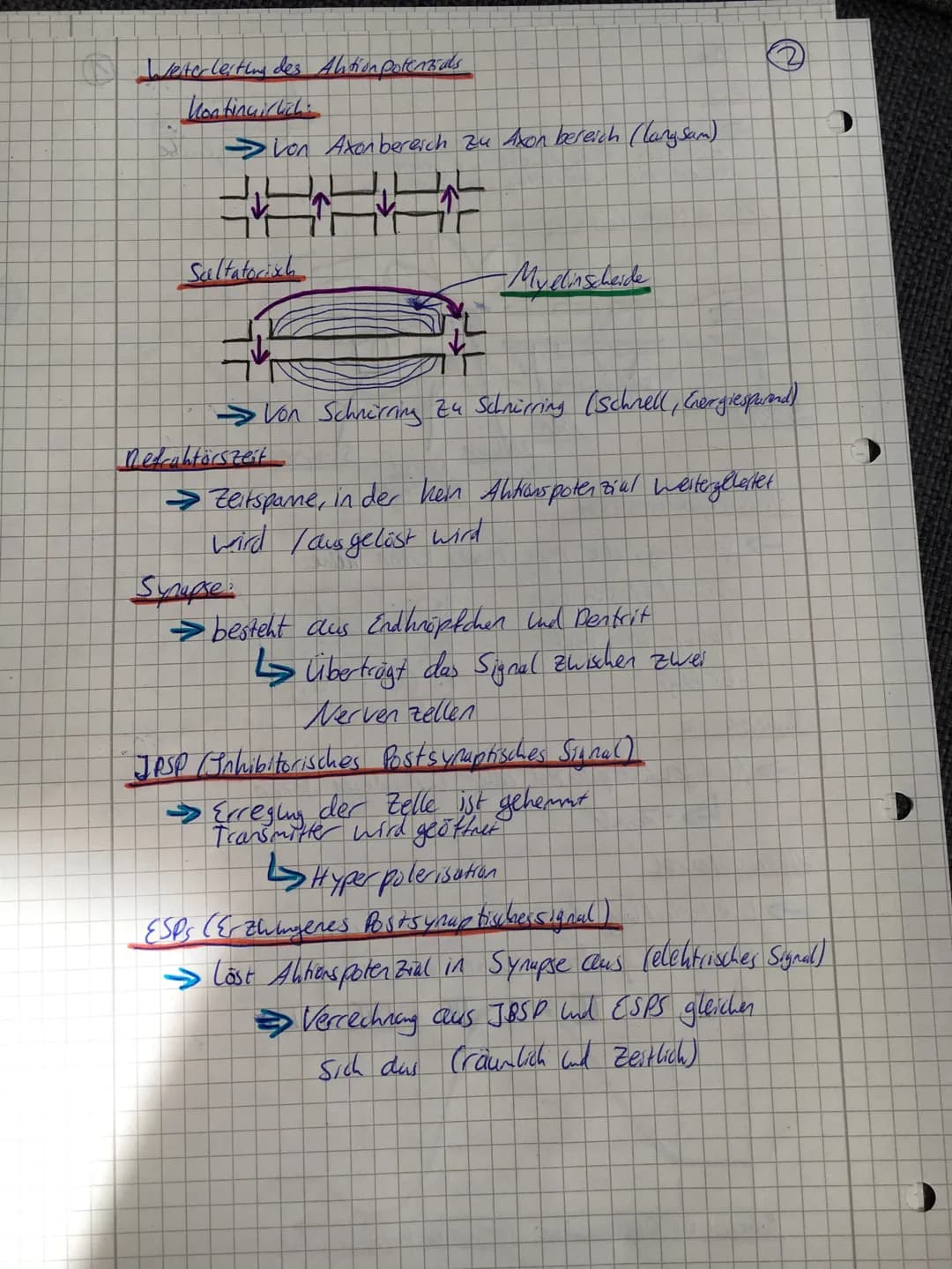 O
C
Nerv
→-Bündel con Nervenzellen
-Ist Lon Bindegewebe con geben.
-Dient zur Weiterlesting con elektrischen Erreging
Nervenzelle (Newan)
S
