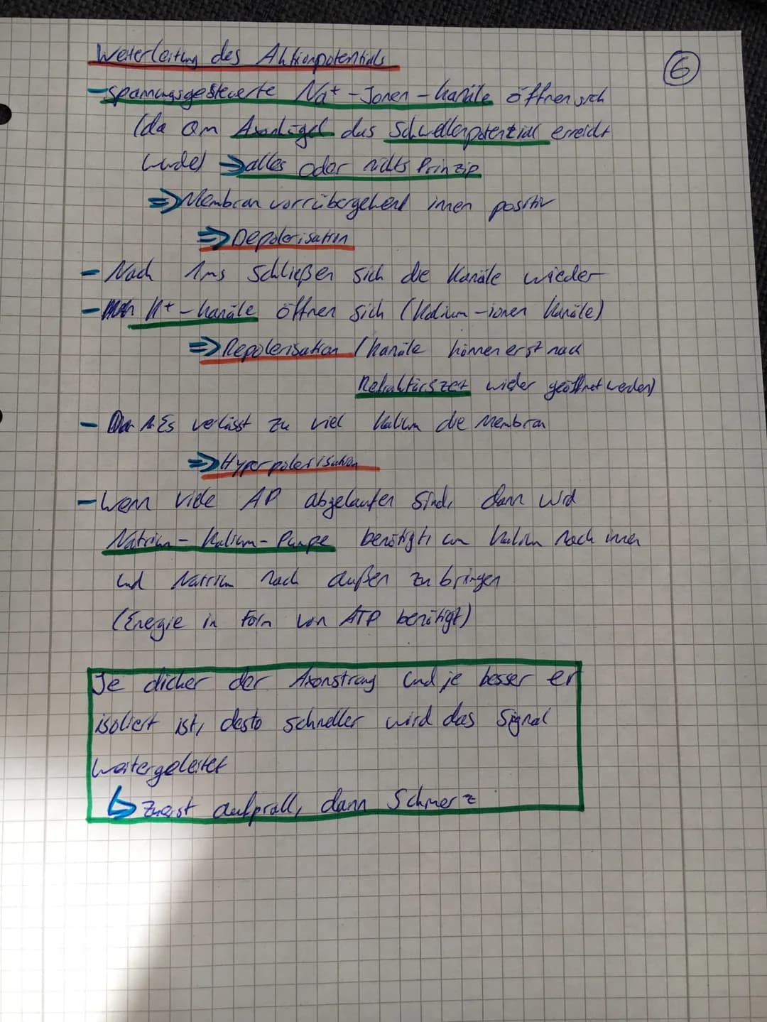 O
C
Nerv
→-Bündel con Nervenzellen
-Ist Lon Bindegewebe con geben.
-Dient zur Weiterlesting con elektrischen Erreging
Nervenzelle (Newan)
S
