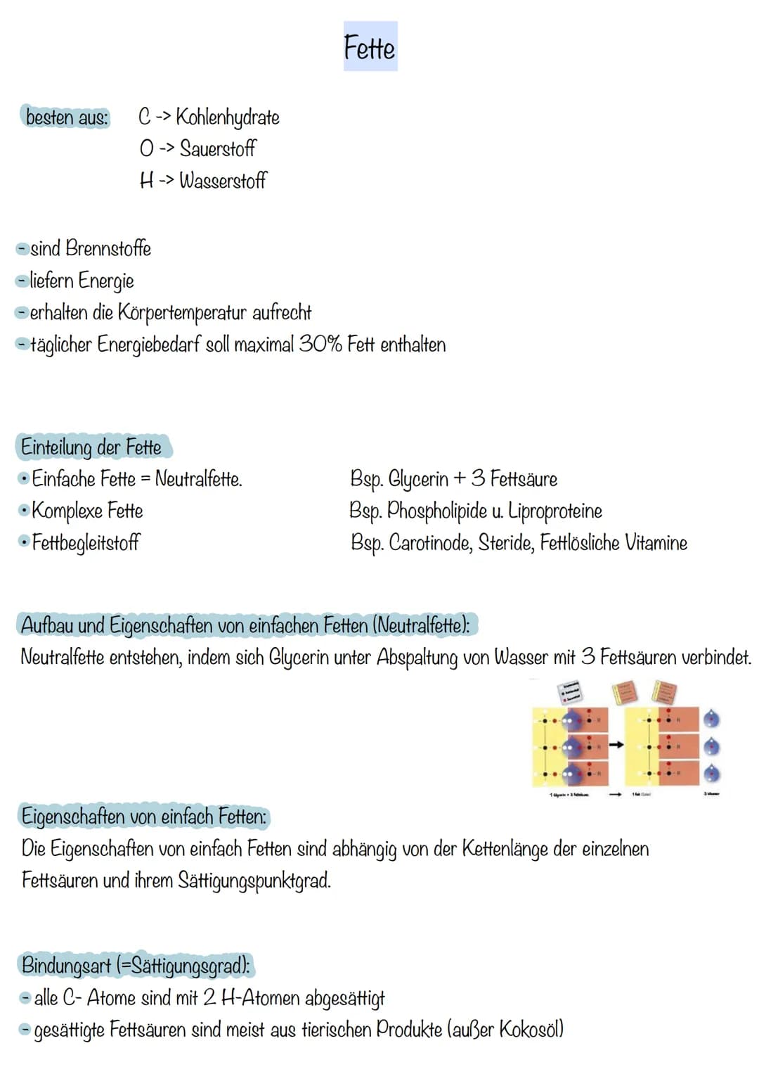 besten aus:
C-> Kohlenhydrate
O-> Sauerstoff
H-> Wasserstoff
sind Brennstoffe
Fette
- liefern Energie
erhalten die Körpertemperatur aufrecht