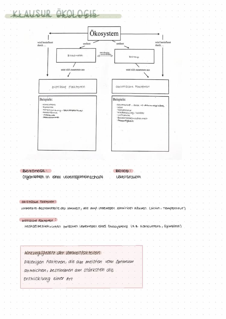 Know Biologie LK: Ökologie thumbnail
