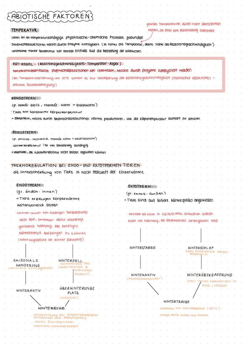KLAUSUR ÖKOLOGIE
wird beeinflusst
durch...
Beispiele:
Konkurrenz
Symbiose
Biozönose
biotische Faktoren
Parasitismus
Fress finde
·Nacukommen
