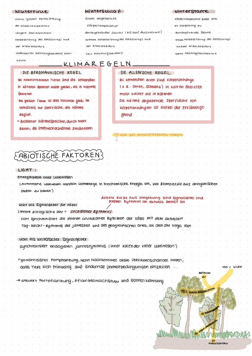KLAUSUR ÖKOLOGIE
wird beeinflusst
durch...
Beispiele:
Konkurrenz
Symbiose
Biozönose
biotische Faktoren
Parasitismus
Fress finde
·Nacukommen
