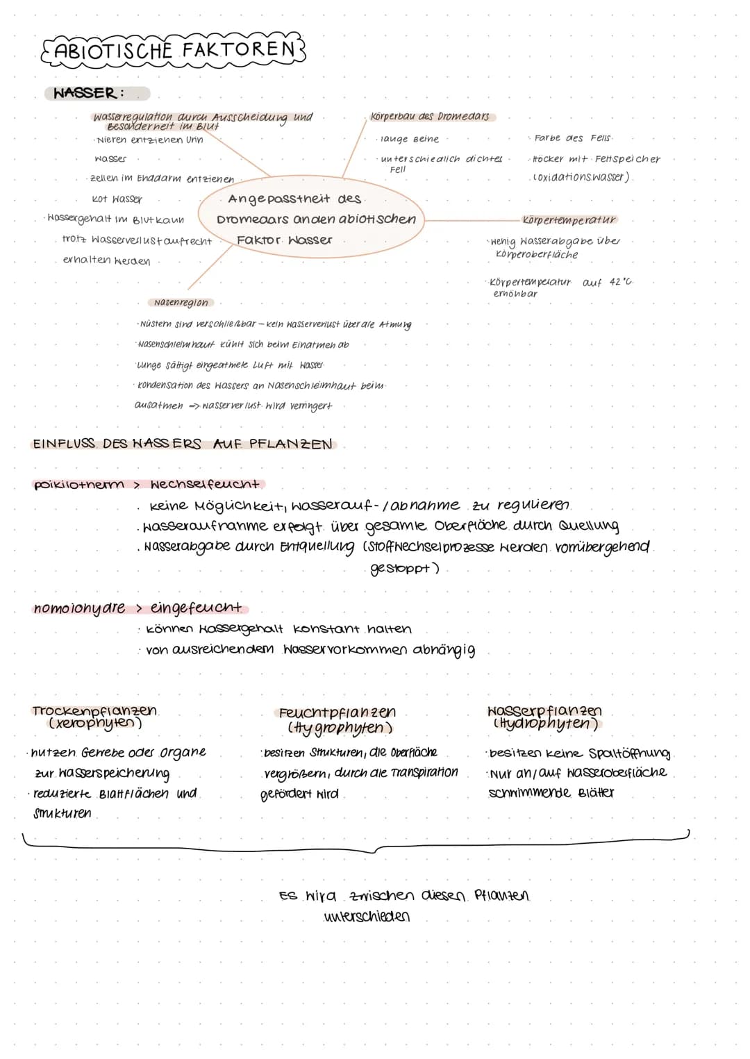 KLAUSUR ÖKOLOGIE
wird beeinflusst
durch...
Beispiele:
Konkurrenz
Symbiose
Biozönose
biotische Faktoren
Parasitismus
Fress finde
·Nacukommen
