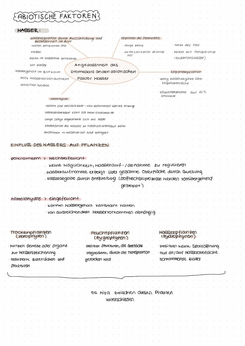 KLAUSUR ÖKOLOGIE
wird beeinflusst
durch...
Beispiele:
Konkurrenz
Symbiose
Biozönose
biotische Faktoren
Parasitismus
Fress finde
·Nacukommen

