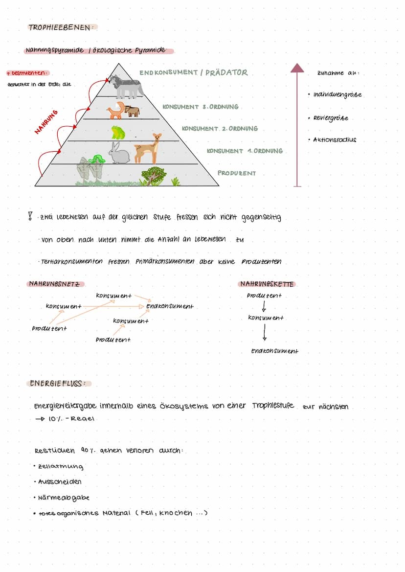 KLAUSUR ÖKOLOGIE
wird beeinflusst
durch...
Beispiele:
Konkurrenz
Symbiose
Biozönose
biotische Faktoren
Parasitismus
Fress finde
·Nacukommen
