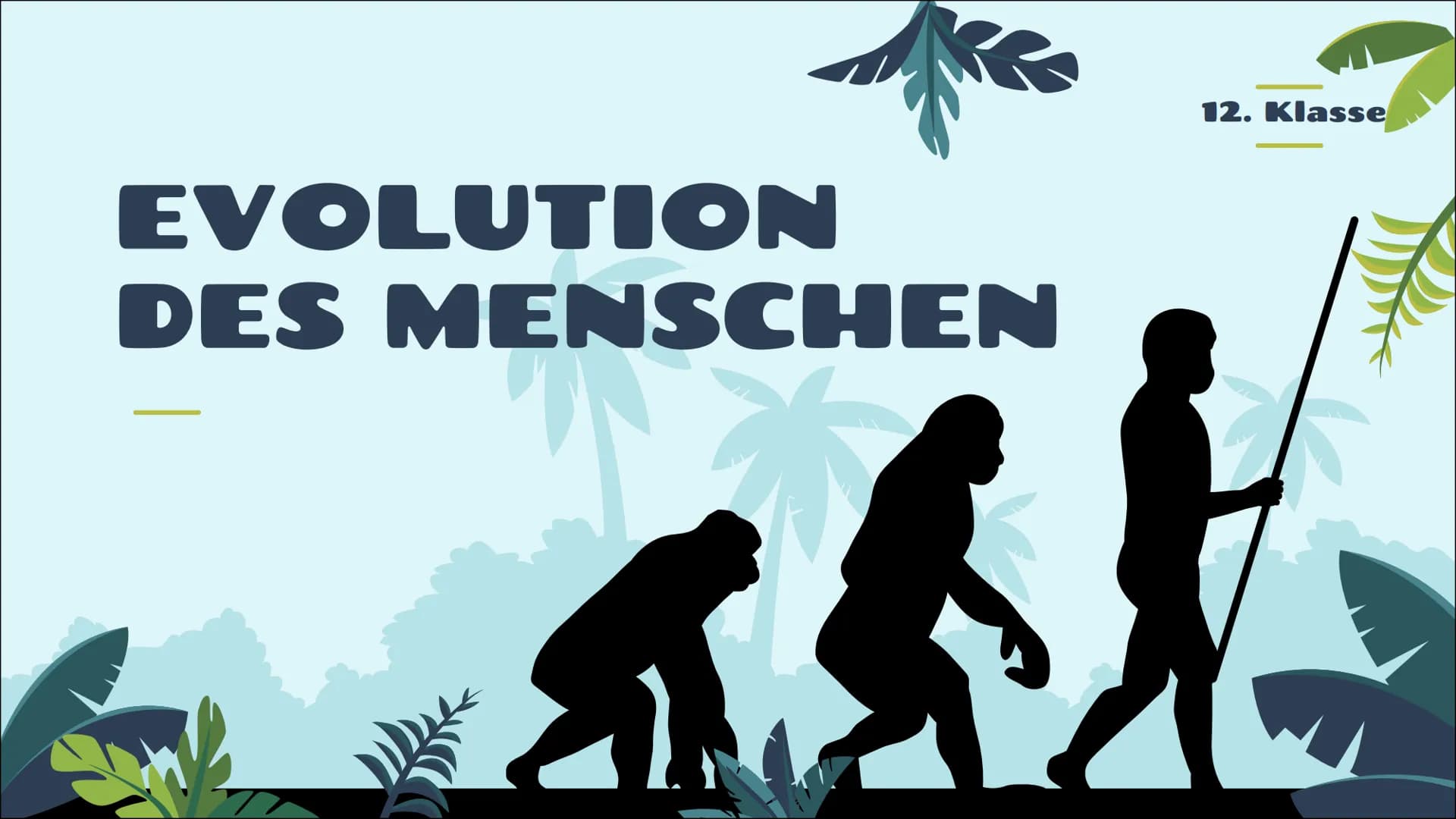 EVOLUTION
DES MENSCHEN
12. Klasse
統 STICHPUNKTZETTEL
Gliederung
1 Vergleich von Menschenaffe und Mensch
1.1 Gemeinsamkeiten
1.2 Unterschiede