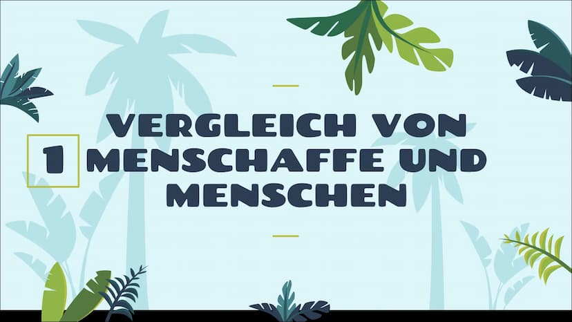 EVOLUTION
DES MENSCHEN
12. Klasse
統 STICHPUNKTZETTEL
Gliederung
1 Vergleich von Menschenaffe und Mensch
1.1 Gemeinsamkeiten
1.2 Unterschiede