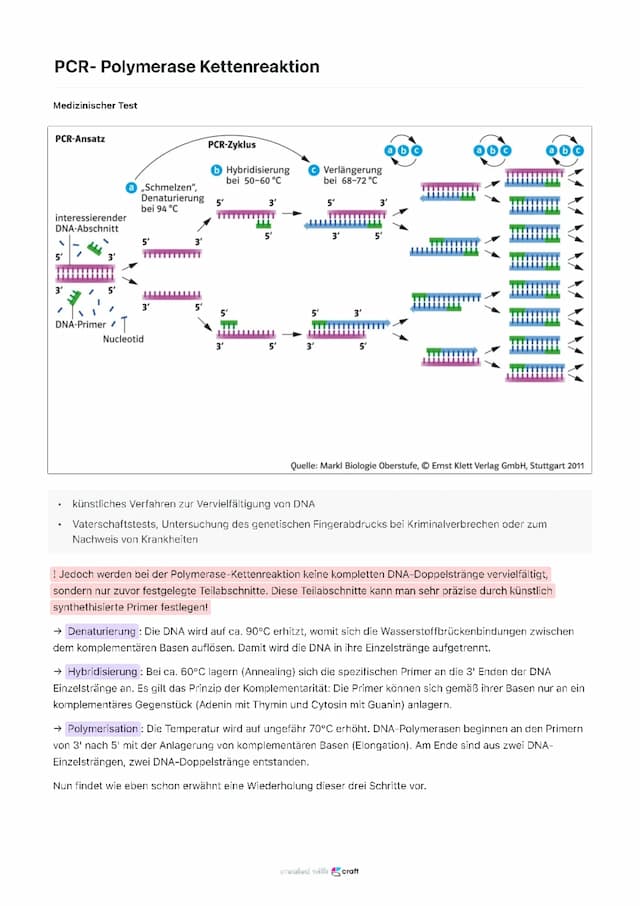 Know Polymerase Kettenreaktion PCR thumbnail