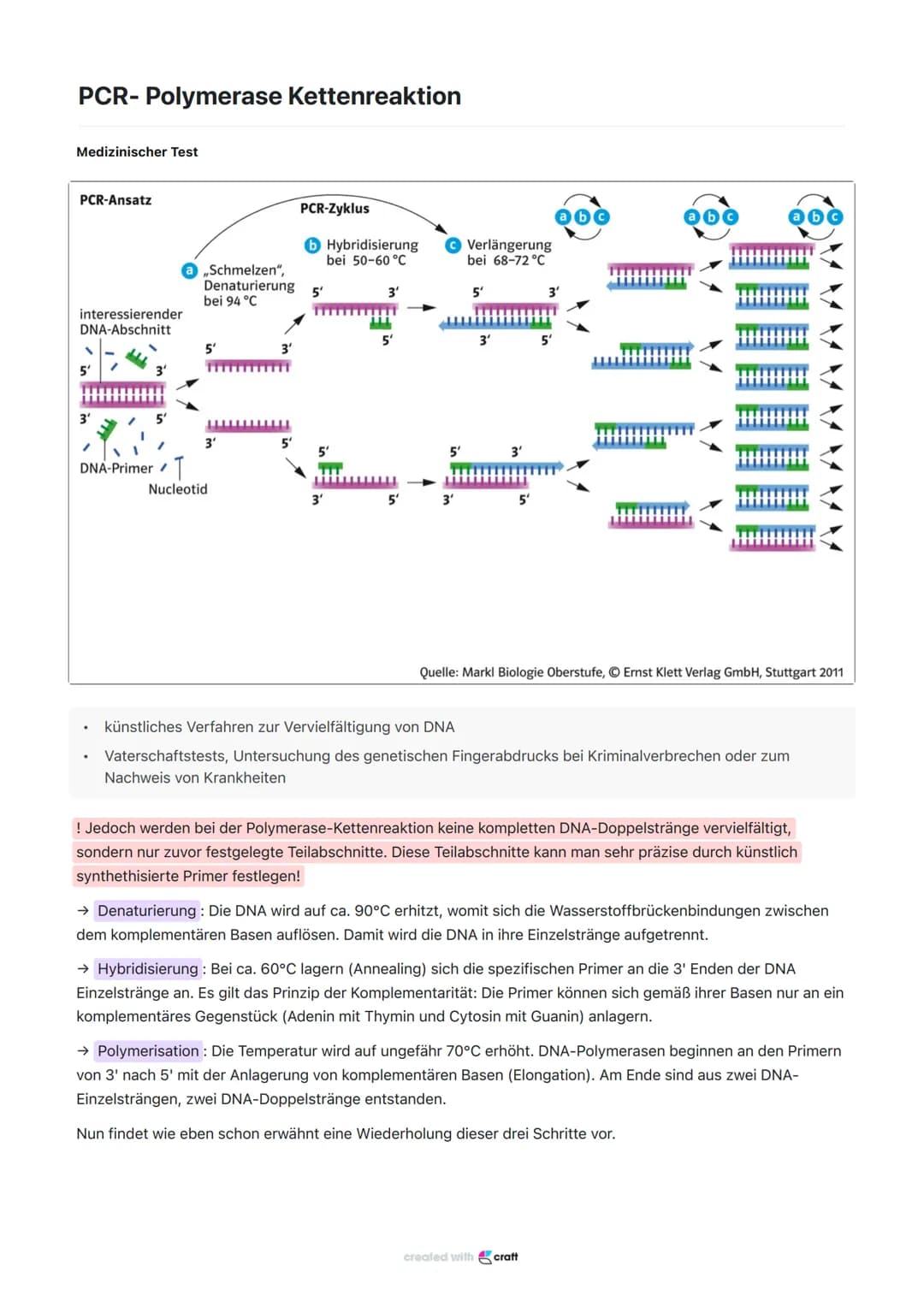 PCR- Polymerase Kettenreaktion
Medizinischer Test
PCR-Ansatz
interessierender
DNA-Abschnitt
3'
DNA-Primer /
.
.
,,Schmelzen",
Denaturierung
