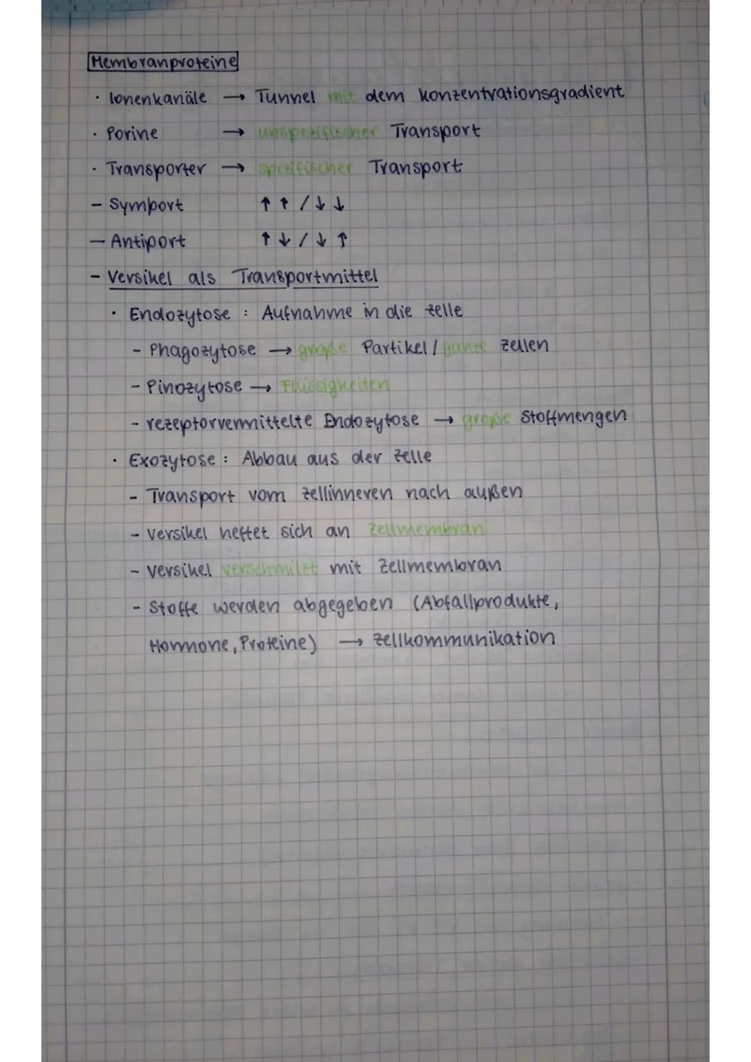 Biologicklausur 01.1
- Transportmechanismen, Enzyme, Enzymhemmungen-
Transportmechanismen
Probleme beim Stofftransport ohne Proteine
• zu gr