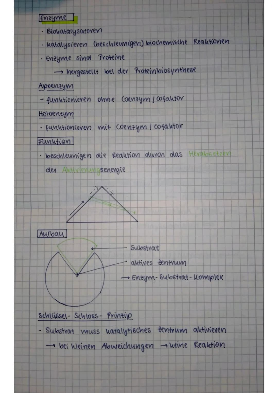 Biologicklausur 01.1
- Transportmechanismen, Enzyme, Enzymhemmungen-
Transportmechanismen
Probleme beim Stofftransport ohne Proteine
• zu gr
