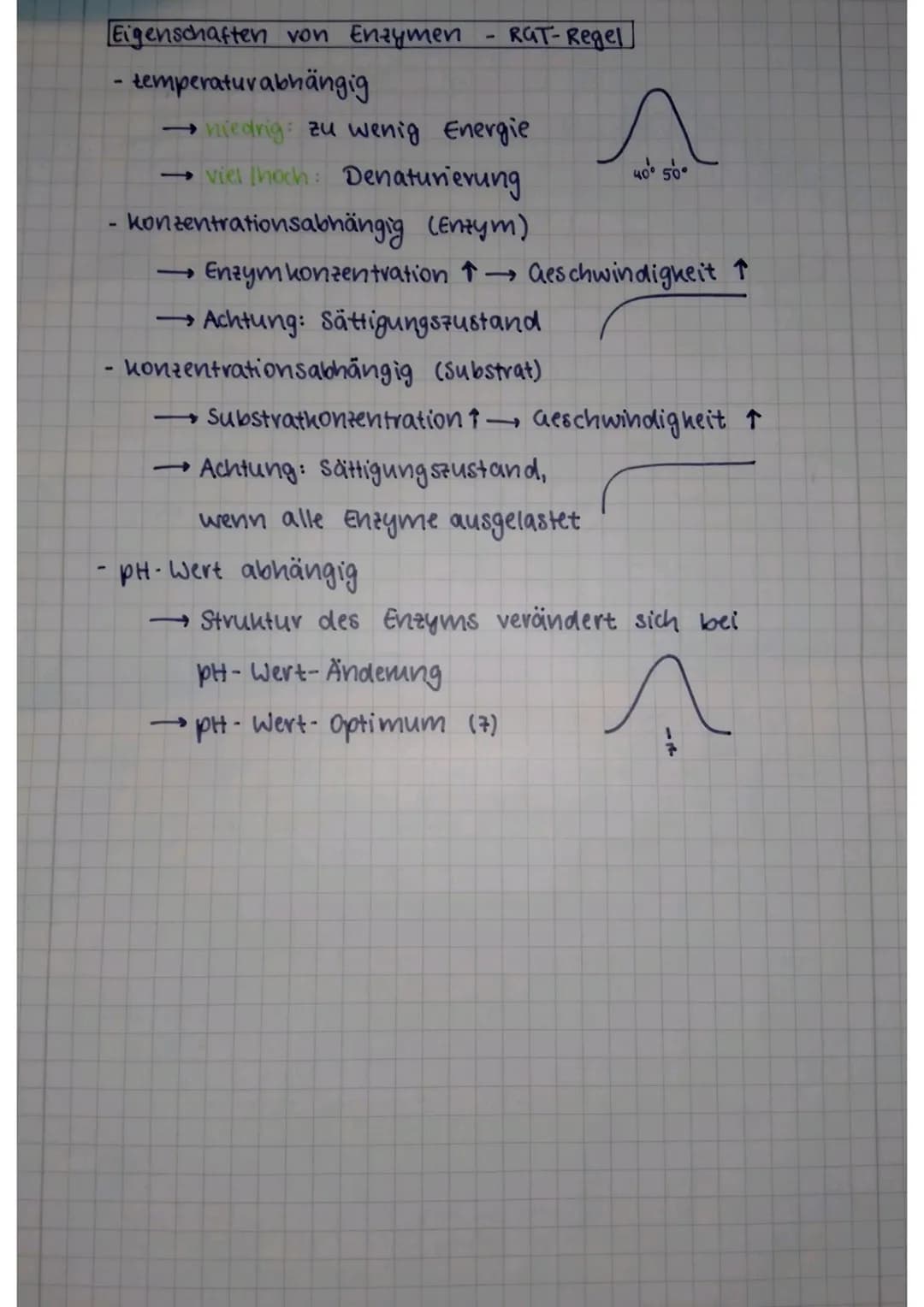 Biologicklausur 01.1
- Transportmechanismen, Enzyme, Enzymhemmungen-
Transportmechanismen
Probleme beim Stofftransport ohne Proteine
• zu gr