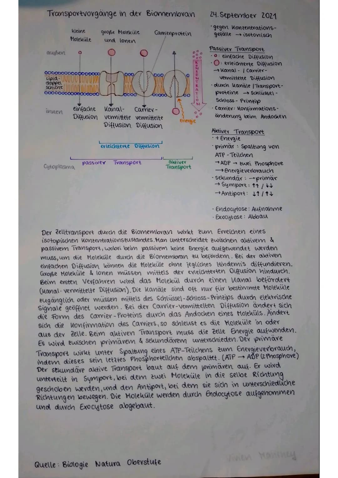 Biologicklausur 01.1
- Transportmechanismen, Enzyme, Enzymhemmungen-
Transportmechanismen
Probleme beim Stofftransport ohne Proteine
• zu gr
