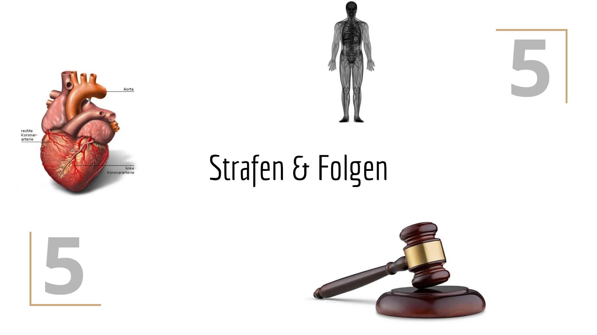 Doping
ein weit verbreitetes Problem Struktur
1. Was ist Doping?
2. Doping in der Vergangenheit
3. Substanzen & Methoden
4. Dopingkontrollen