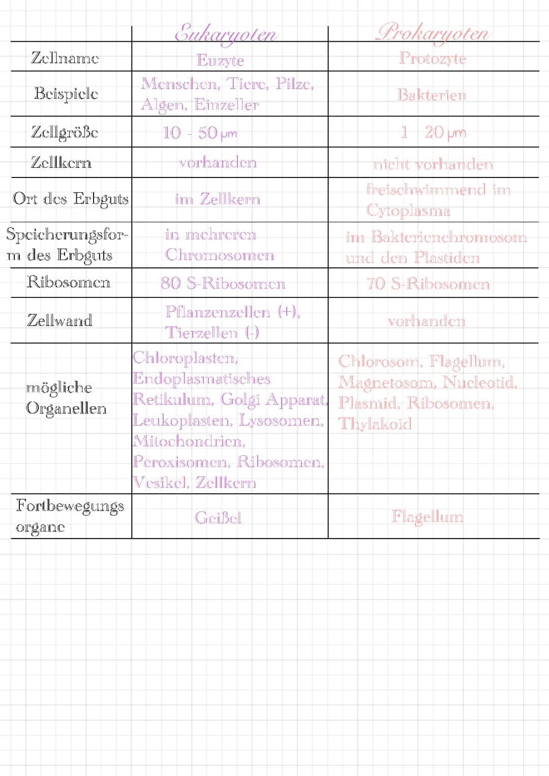 Prokaryoten & Eukaryoten