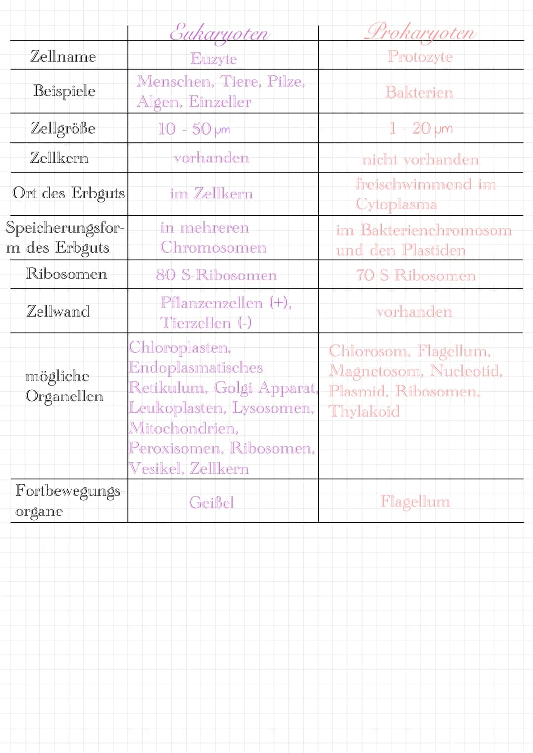 Zellname
Beispiele
Zellgröße
Zellkern
Ort des Erbguts
Speicherungsfor-
m des Erbguts
Ribosomen
Zellwand
mögliche
Organellen
Fortbewegungs-
o