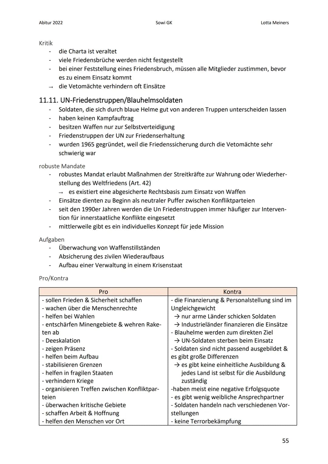 Abitur 2022
11. Menschenrechte - UNO
11.1. grundlegende Herausforderungen internationaler Politik
Anarchie
Friedens- & Sicherheitspolitik
In