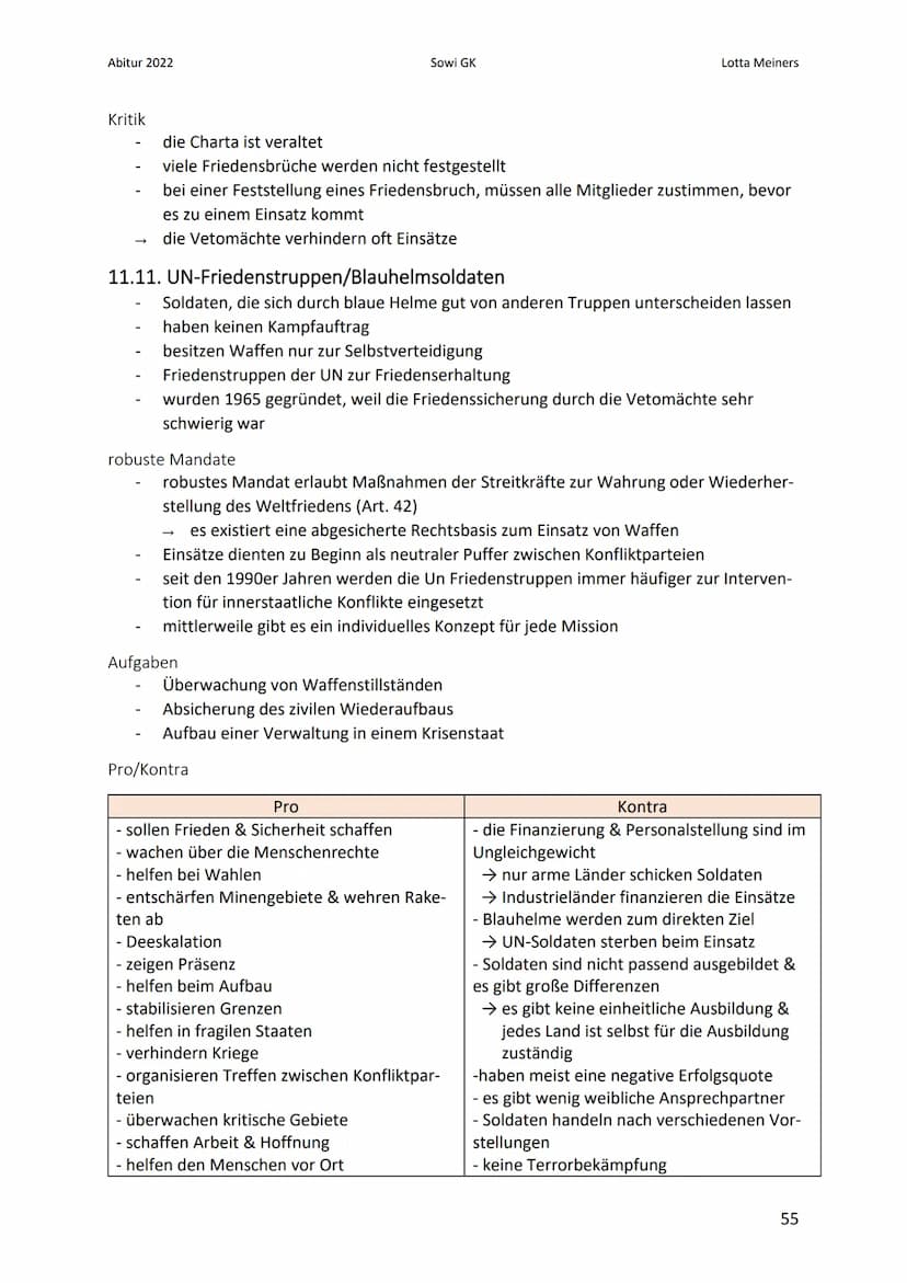 Abitur 2022
11. Menschenrechte - UNO
11.1. grundlegende Herausforderungen internationaler Politik
Anarchie
Friedens- & Sicherheitspolitik
In
