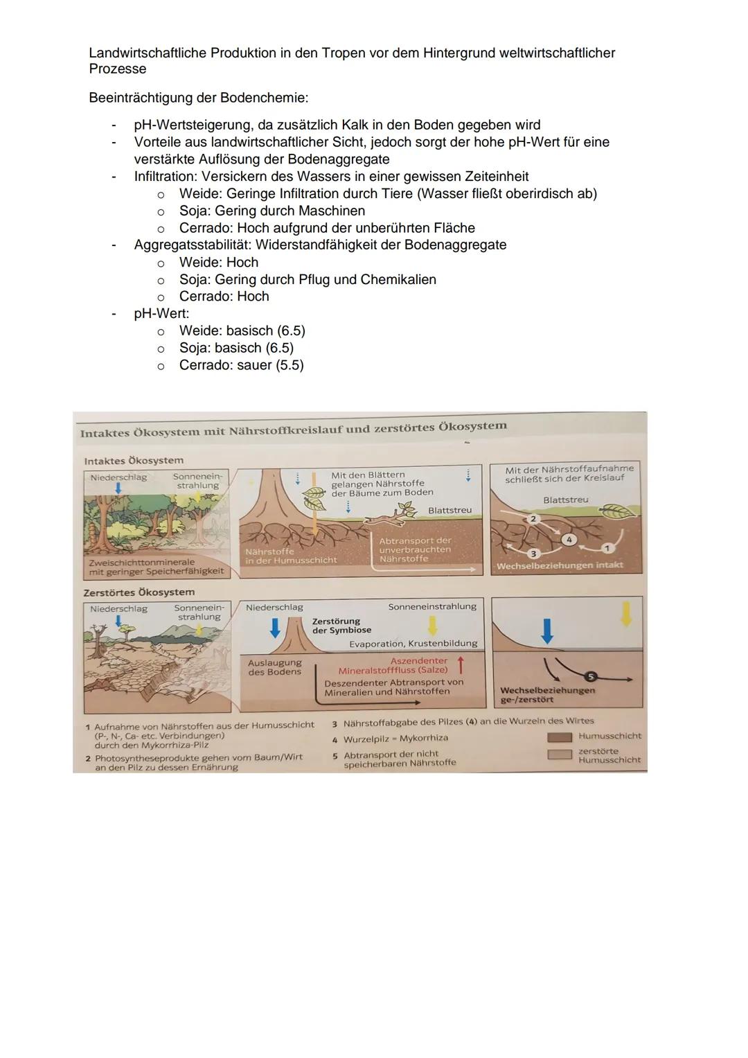 Landwirtschaftliche Produktion in den Tropen vor dem Hintergrund weltwirtschaftlicher
Prozesse
Definition: Landwirtschaft
Landwirtschaft bes