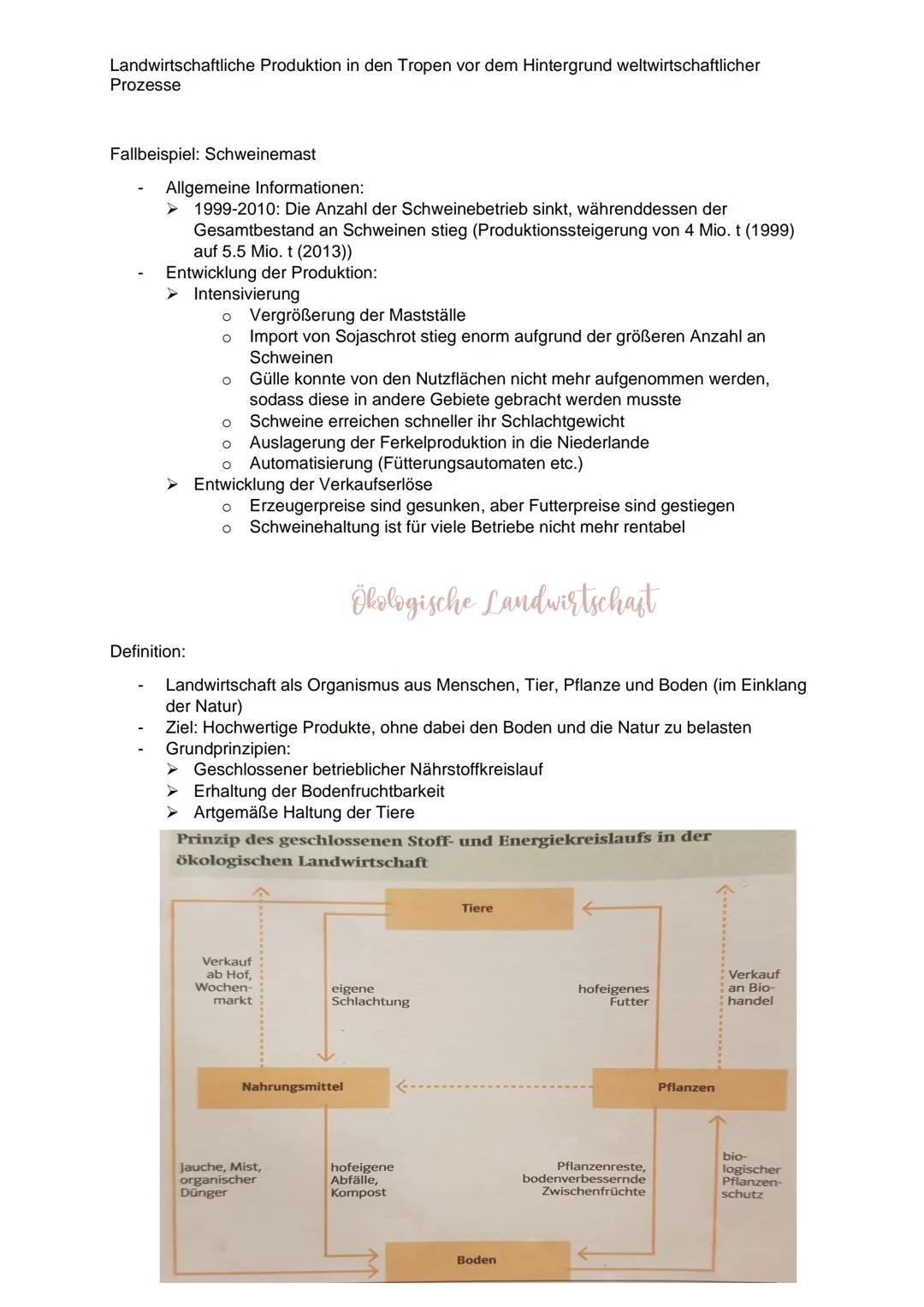 Landwirtschaftliche Produktion in den Tropen vor dem Hintergrund weltwirtschaftlicher
Prozesse
Definition: Landwirtschaft
Landwirtschaft bes