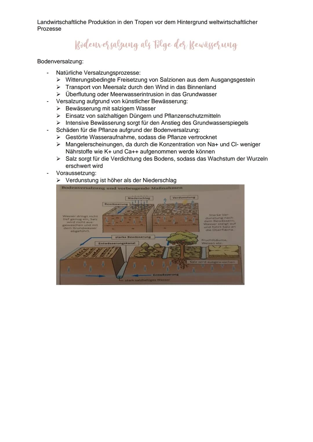 Landwirtschaftliche Produktion in den Tropen vor dem Hintergrund weltwirtschaftlicher
Prozesse
Definition: Landwirtschaft
Landwirtschaft bes