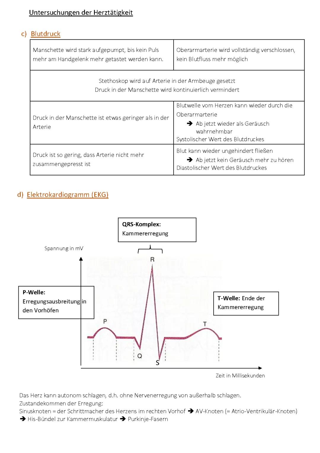 Entdecke Herzuntersuchungen: Von EKG bis Herzkatheter für Kids erklärt