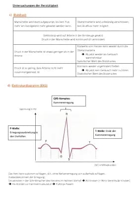 Know Biologie - Blutdruck und EKG thumbnail