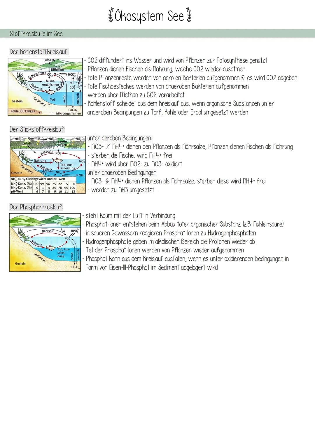 Kennzeichen eines Sees
Ökosystem See
Definiton:
- in der Regel ein natürliches Stillgewässer, kann aber auch künstlich angelegt sein (Bagger