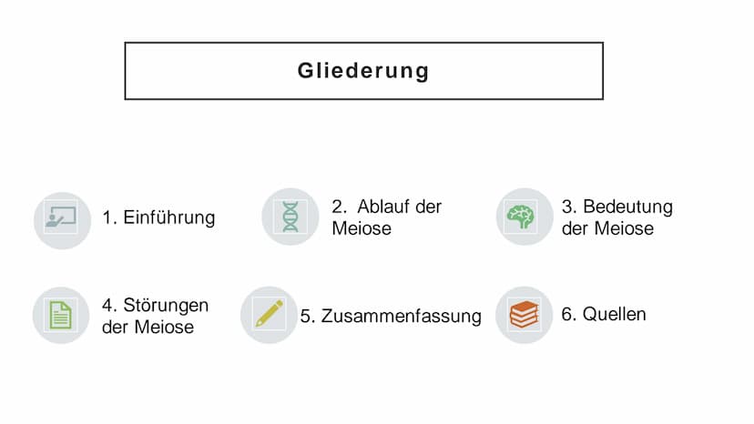 Meiose Q
1. Einführung
4. Störungen
der Meiose
Gliederung
XX
2. Ablauf der
Meiose
5. Zusammenfassung
3. Bedeutung
der Meiose
6. Quellen Defi