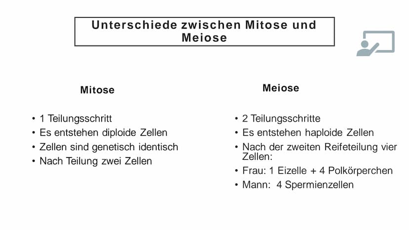 Meiose Q
1. Einführung
4. Störungen
der Meiose
Gliederung
XX
2. Ablauf der
Meiose
5. Zusammenfassung
3. Bedeutung
der Meiose
6. Quellen Defi